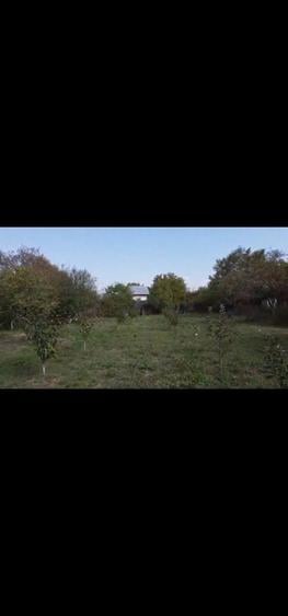 Proprietate unica 1,5 ha intravilan cu luciu de apa, livada si casa - 1