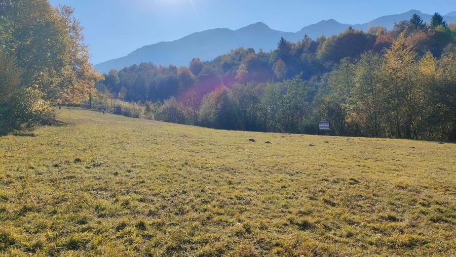 Teren zona Bran Tohanita! - 8