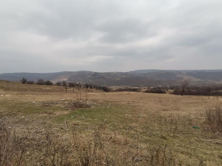 Vănd Teren Extravilan Dănulești, Jud. Buzău 9700 mp - 1