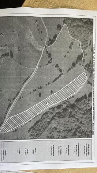 Proprietar vand teren extravilan 2ha, PANORAMA SUPER, Poiana Marului - 8