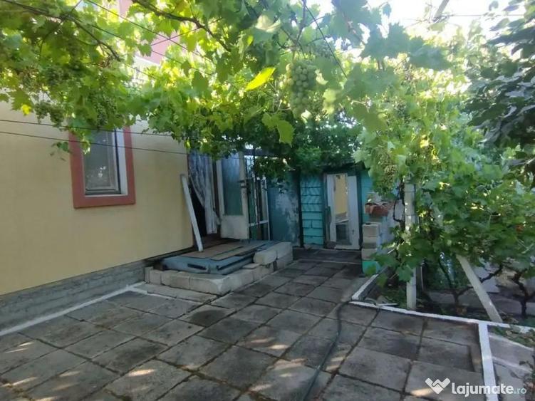 Casa, gradina, teren mare - Palazu Mare - 4