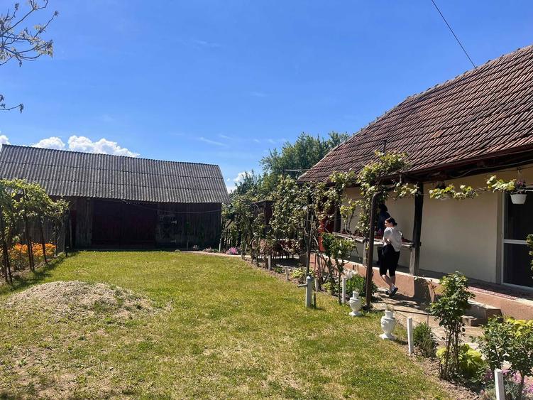 Casa de vanzare in jud.Satu Mare - 3