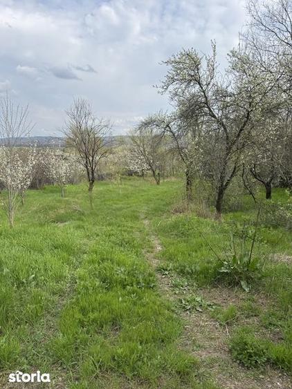 Vand teren extravilan, Galmeia, Prahova - 1