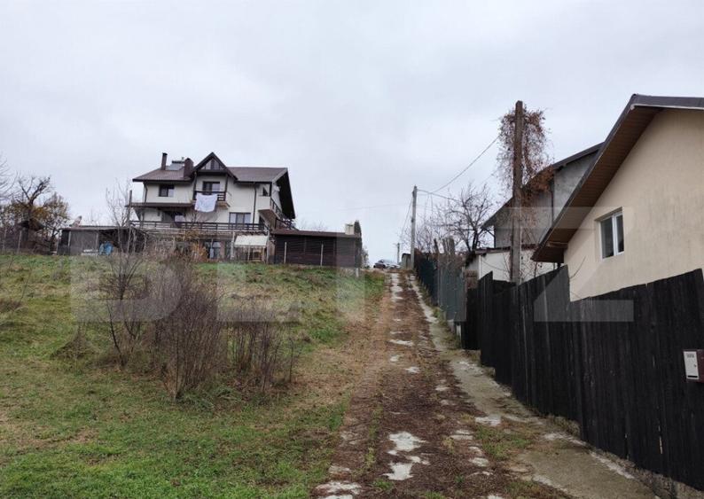 Teren intravilan 2618 mp IASI- Strugurilor - 4