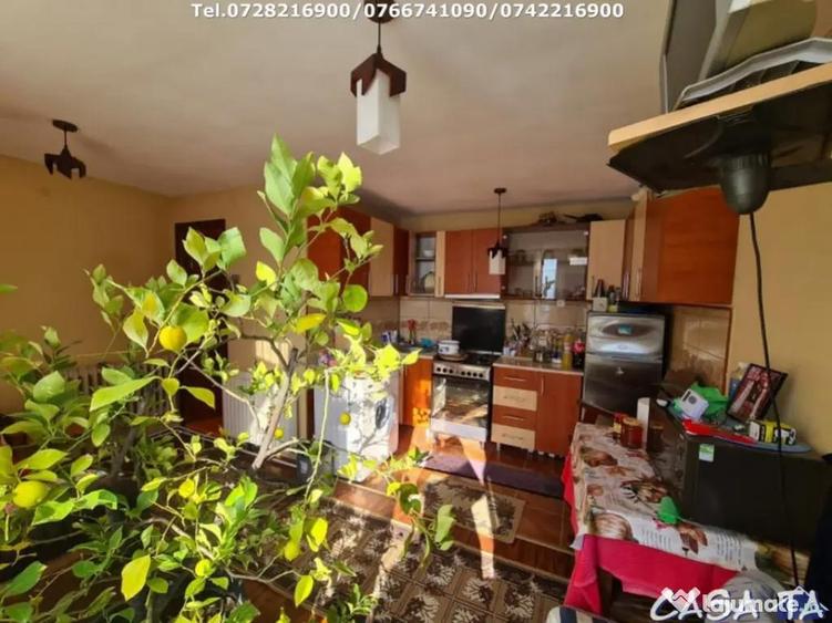 Casa D+P+1, situata in Curtisoara - 2