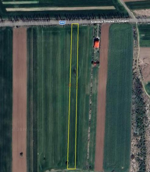 Teren extravilan | Siliștea Snagovului | 8500mp | Stradal - 2