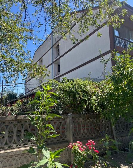 Teren str Renasterii Chitila - 1