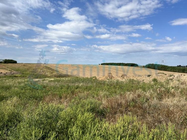 Teren intravilan de vanzare, Cheriu, Bihor - 2