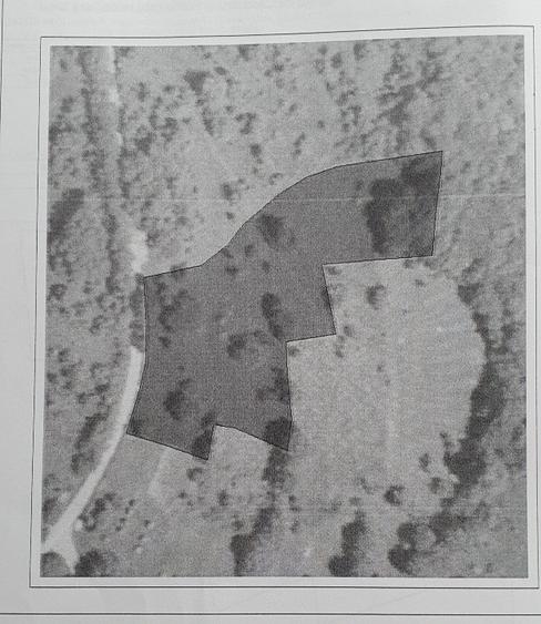 De vanzare Teren intravilan si extravilan - 3