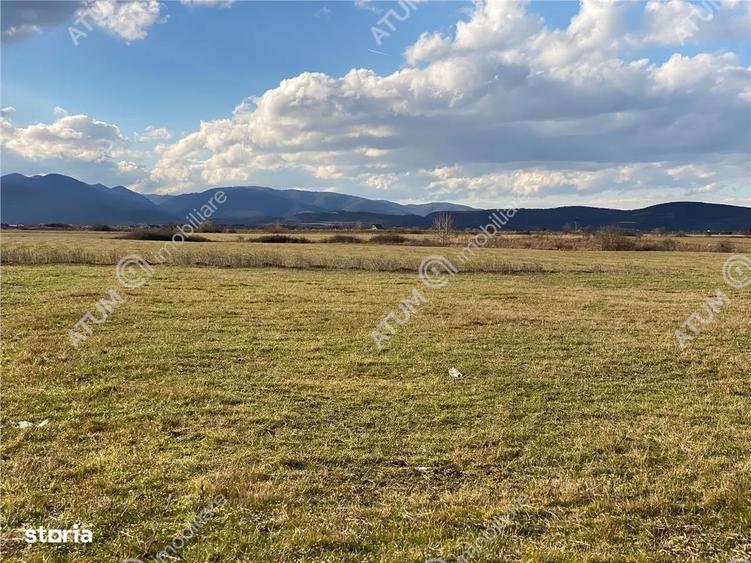 Teren de vanzare 564 mp in Sibiu pretabil investitie - 6