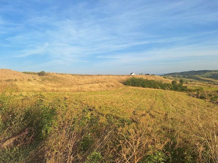 Teren extravilan Breazu-Tautesti - 5