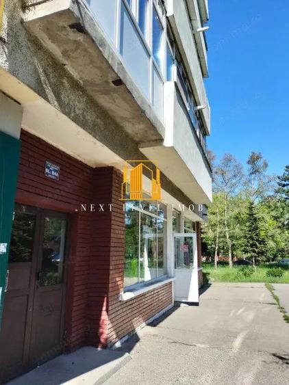 Spa?iu comercial de inchiriat 98 mp-Craiovei - 4