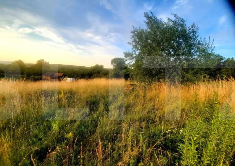 Teren intravilan 1129 mp, PUZ in lucru, in Borhanci - 10