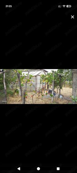 Casa de vanzare Movila Ialomita - 4