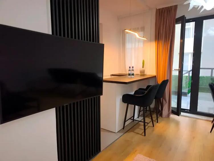 2 camere mobilat si utilat cu terasa/gradina si loc de parcare inclus - 3