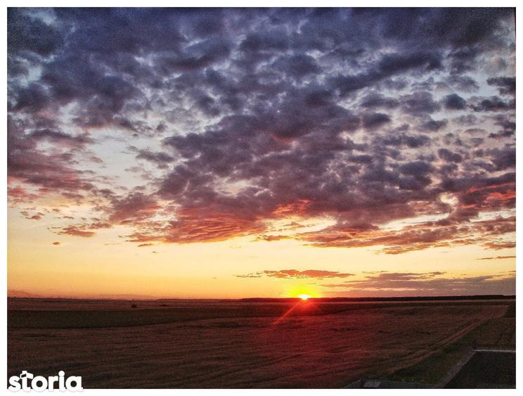 Sat Pope?ti. Curent. Padure. Aer curat, liniste, acces usor Bucuresti. - 8