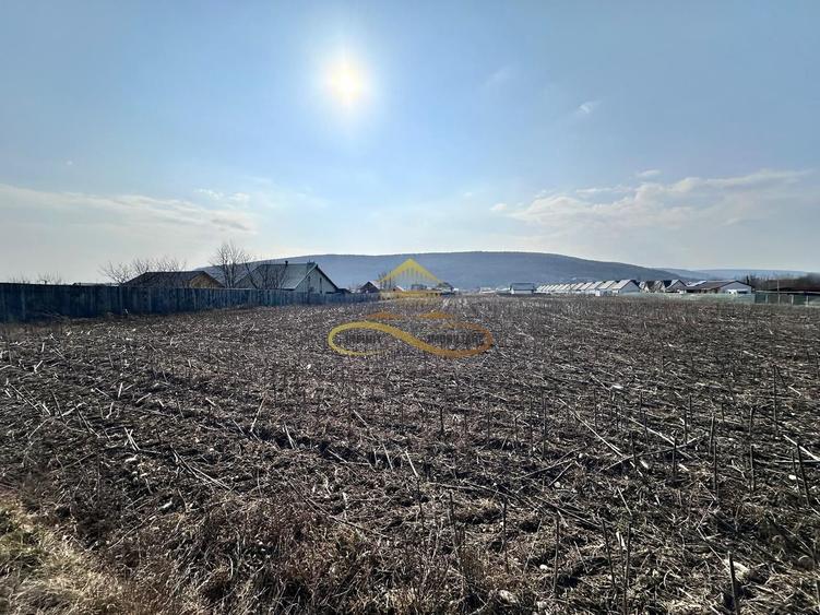 De vanzare teren intravilan Hemeius Bacau - 6