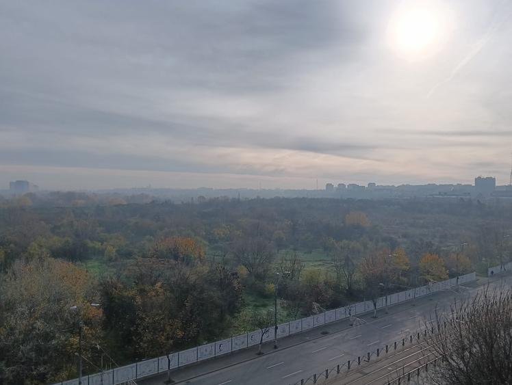 Primul chirias, Vedere superba asupra Parcului Natural Vacaresti - 1