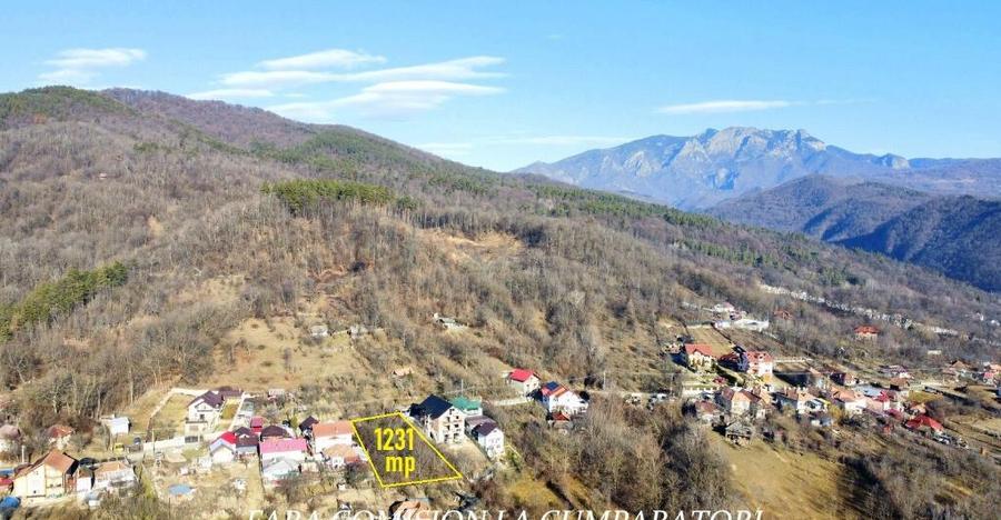 CALIMANESTI, TEREN 1231 MP - 9