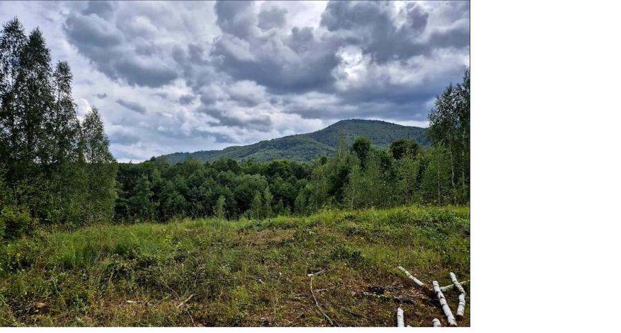 Teren ideal refugiu de weekend, 3182 mp/Plata in 2 rate ! - 1