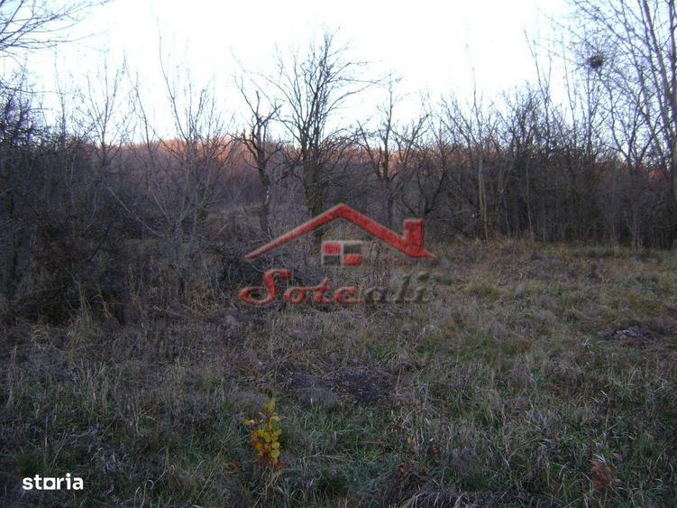 Teren de vanzare Cornu de Jos - 1