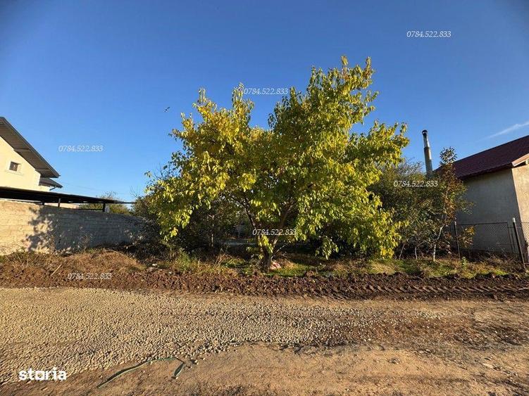 Teren intravilan intre case, central in comuna Berceni IF - 5