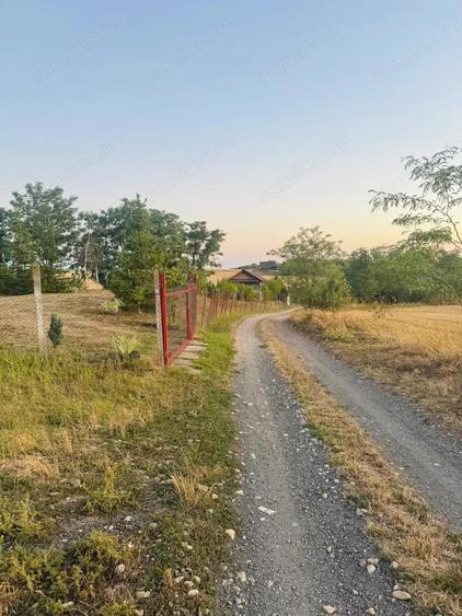 AV655 Teren-Balta 6.663mp, in Masloc-Alios, IDEAL INVESTITIE - 7