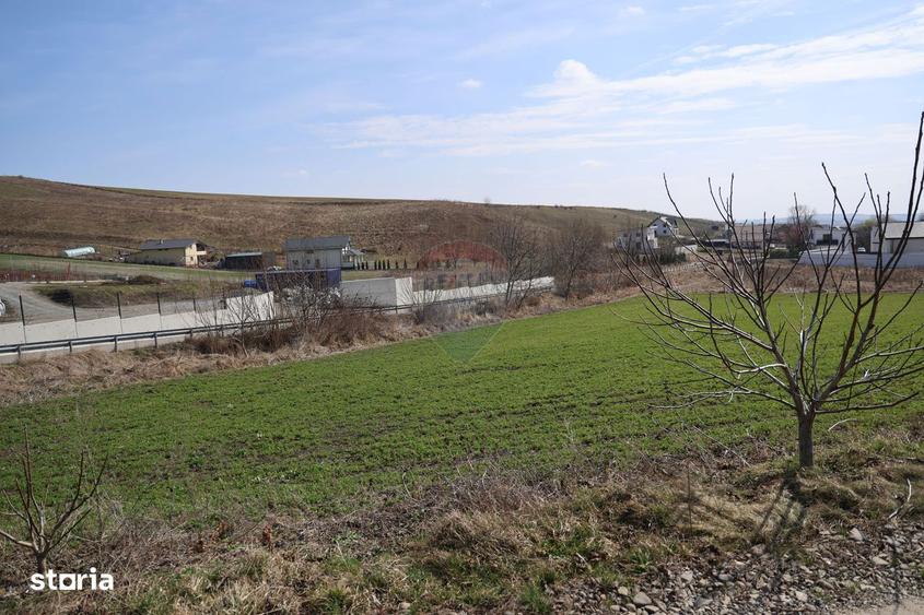 Teren 3,500mp Moara / Strada Pprincipala - 8