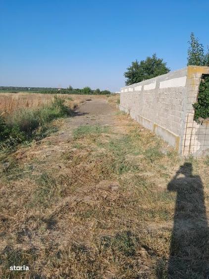 Vind teren intravilan - 2