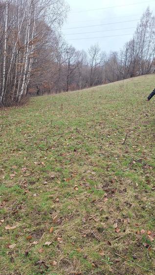 Teren Bran 17 euro pentru platacash!in rate 25euro mp. - 5