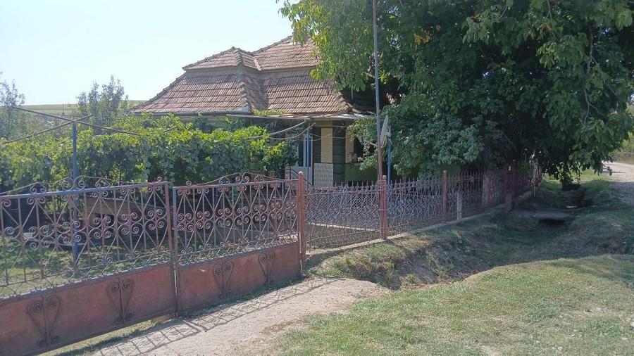 Casa de vanzare Soporu de Campie - 3