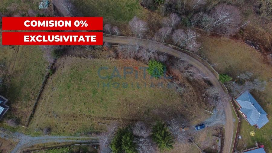 Teren constructie CABANA/CASA,  2980 MP cu utilitati, Dealu Negru, Calatele - 4