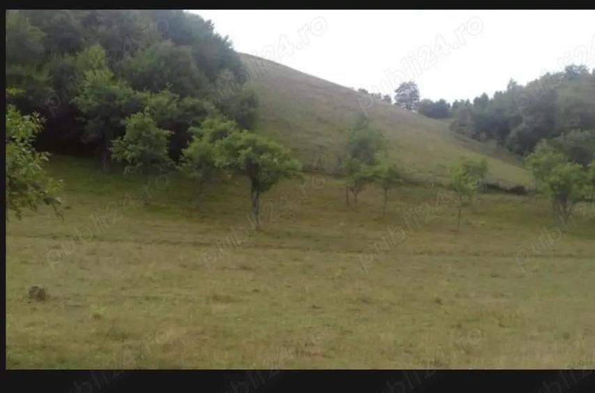 Casa la tara in zona linistita - 1