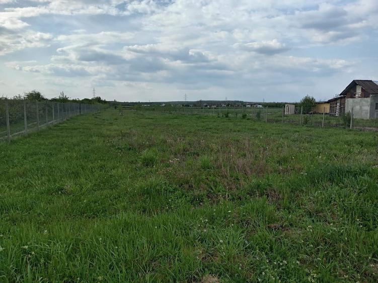 Teren in Priseaca - 7