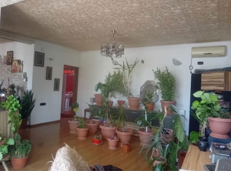 Casa de vanzare P+M cu garaj - 5