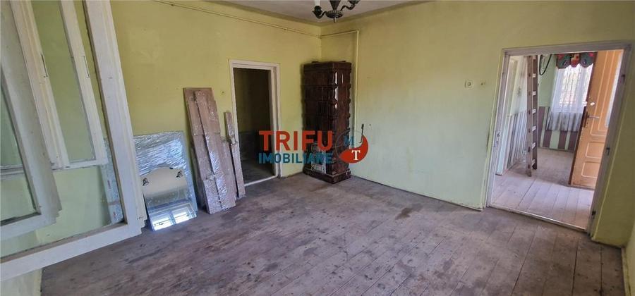 Casă de vânzare zona Cetate Schit 740 mp teren - 10