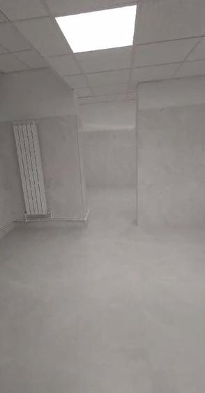 Zona Bd. Unirii S+P 213 mp open space - 10