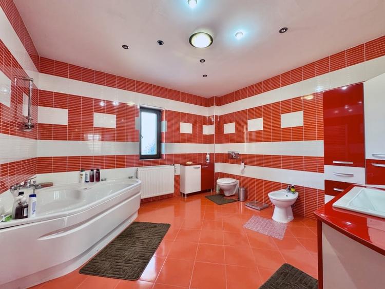 Casǎ Individualǎ/Pensiune/Turism - Ocna Sibiului - 1546 mp teren - 13