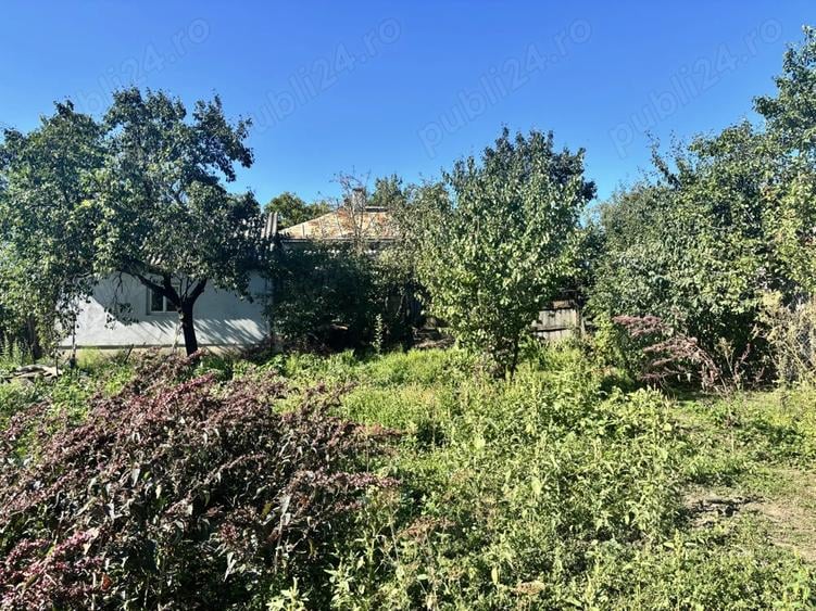 Vand casa cu gradina la strada principala. - 2