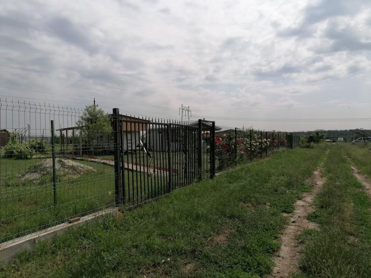 Tartasesti, Dambovita - 12