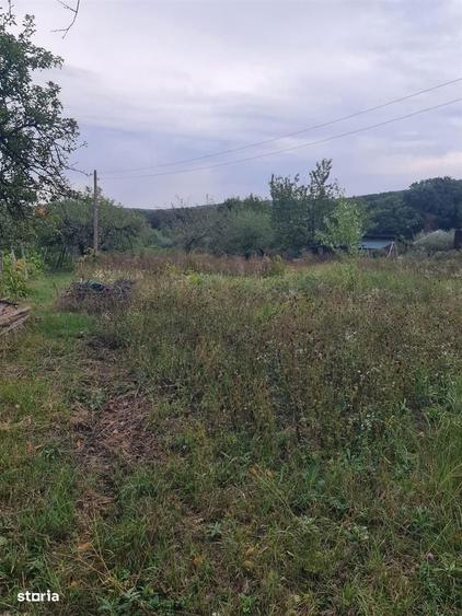 Teren Gheoghe Doja - 2