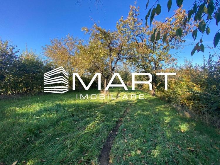 Teren extravilan 3200mp zona Tropinii Vechi - 2