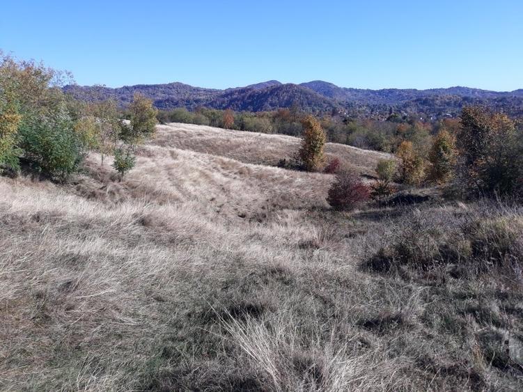 OFERTĂ SPECIALĂ! Teren intravilan de vânzare în Câmpina pe Dealul Muscel - 6