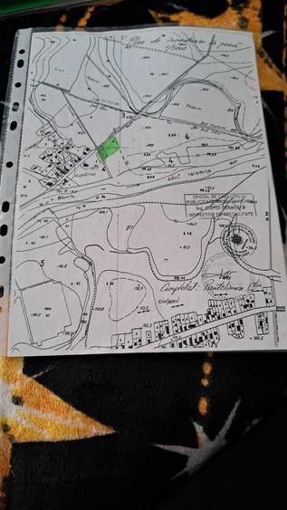Vand teren in Ciolpani Luparia Ilfov - 3