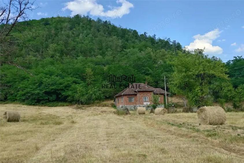 Teren, padure si casa in Dumbrava de Jos, jud. Hunedoara - 17
