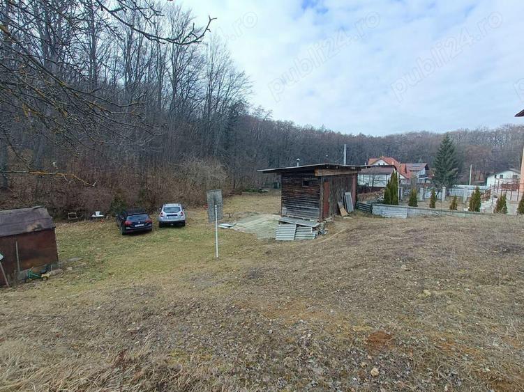 Teren intravilan pentru constructie casa, Faget - 3