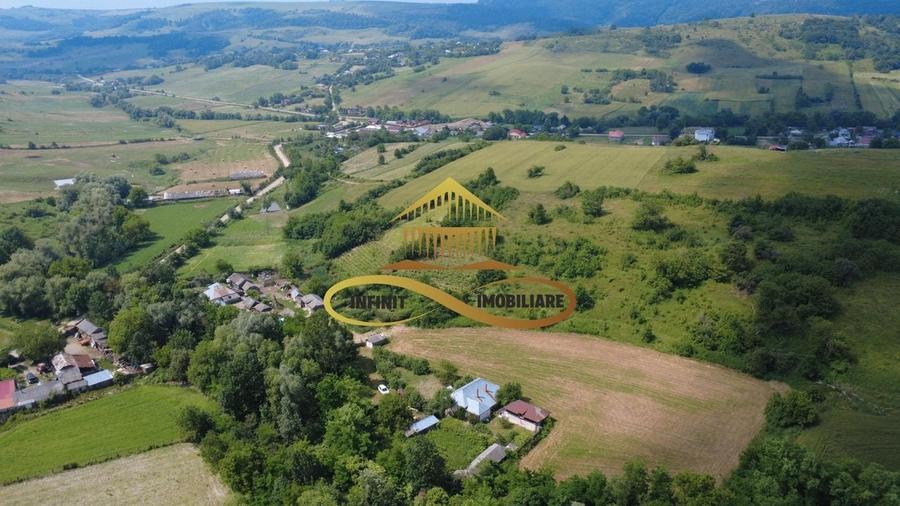 Casa batraneasca cu 2ha de teren de vanzare in sat Balaia / Bacau - 10