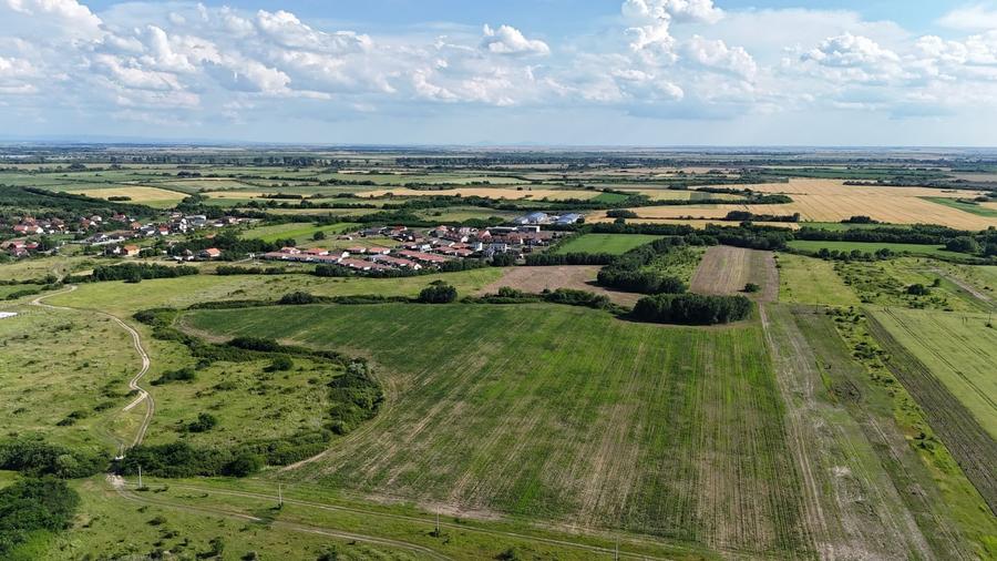 TEREN ZONA MOSNITA NOUA- ALBINA - 7