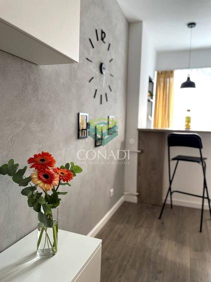 Garsoniera renovata modern str Nada Florilor - Teiul Domnei - 3