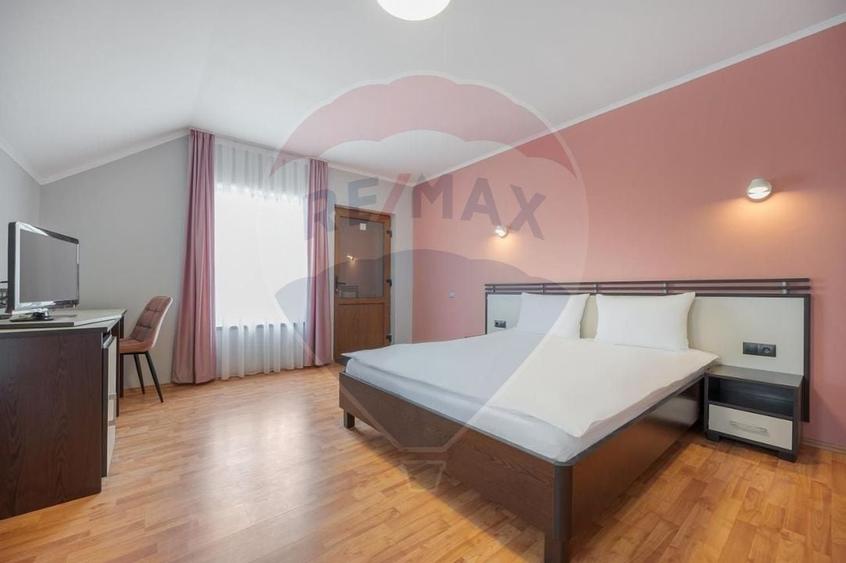 Casă / Vilă cu 16 camere de vânzare Sanmartin/Stefan cel Mare - 7